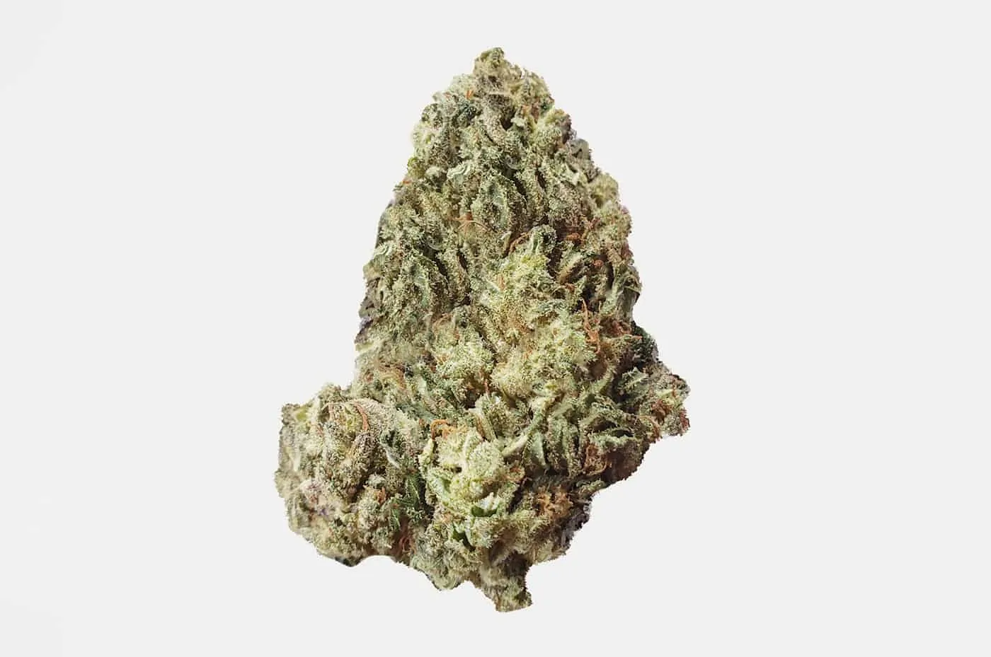 The Hemp Collect Pink Panther Delta 8 Flower Indoor