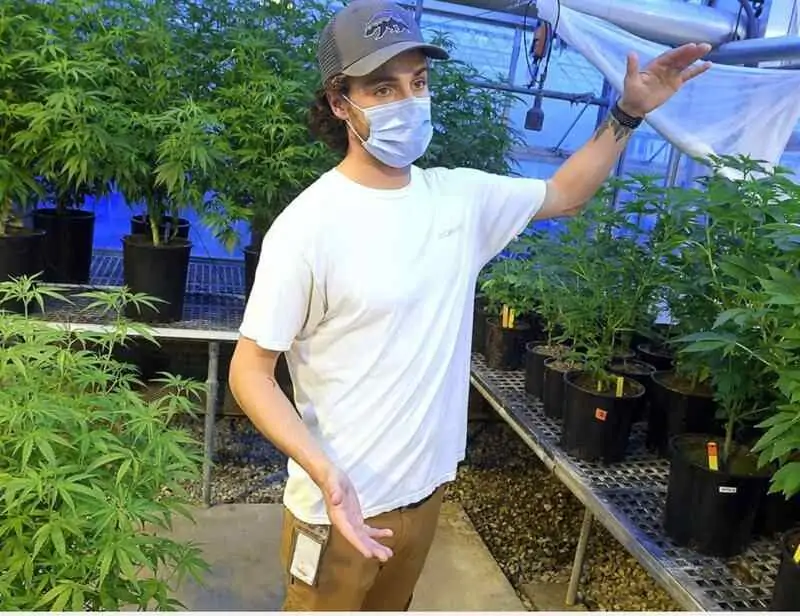 USC grad student debunks hemp growing myths