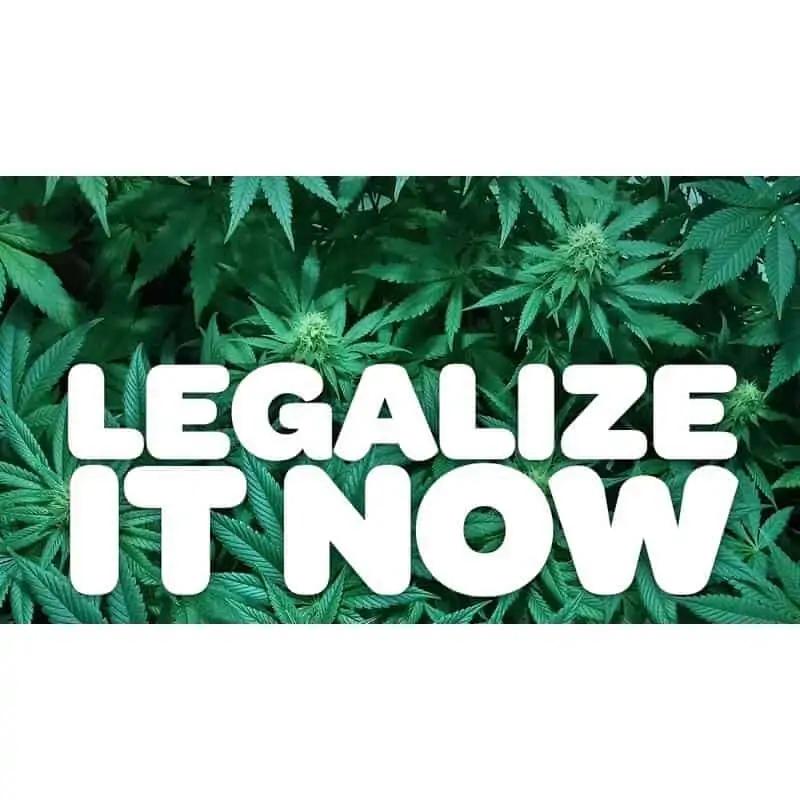 Why Won’t Democrats Just Come Out For Legalizing Marijuana?