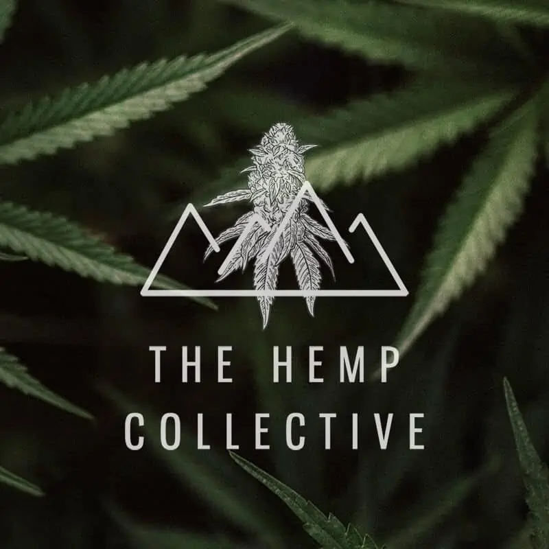 The Hemp Collective Background View 1