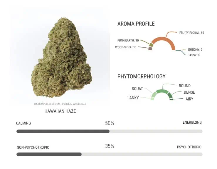Hawaiian Haze Hemp Flower review