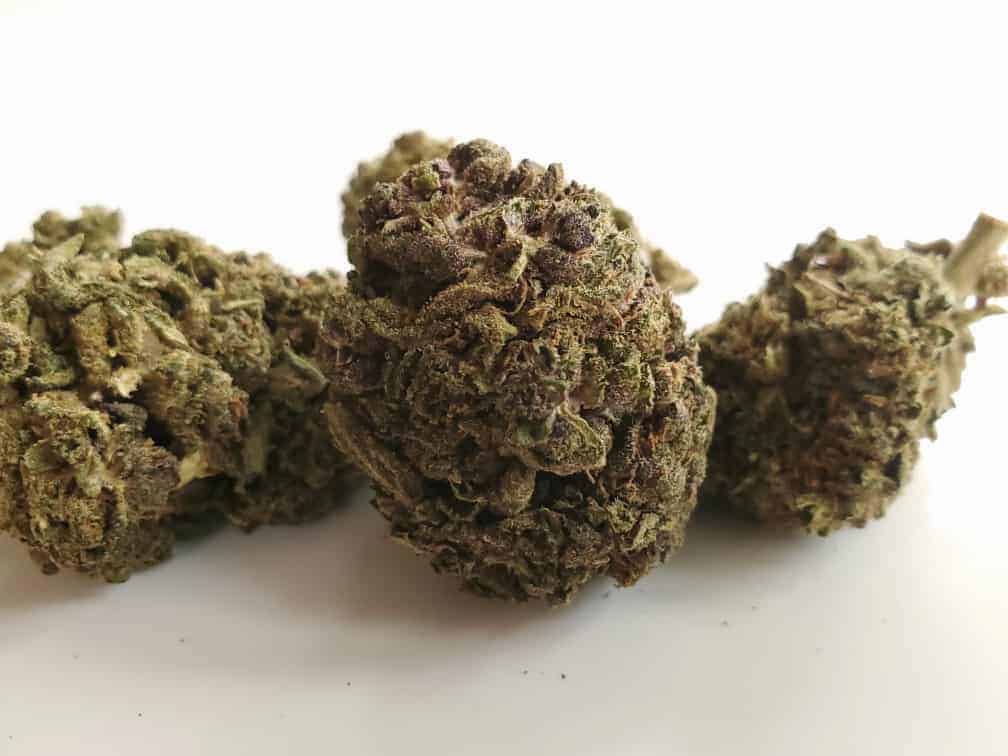 Legendary Hemp Flower Review