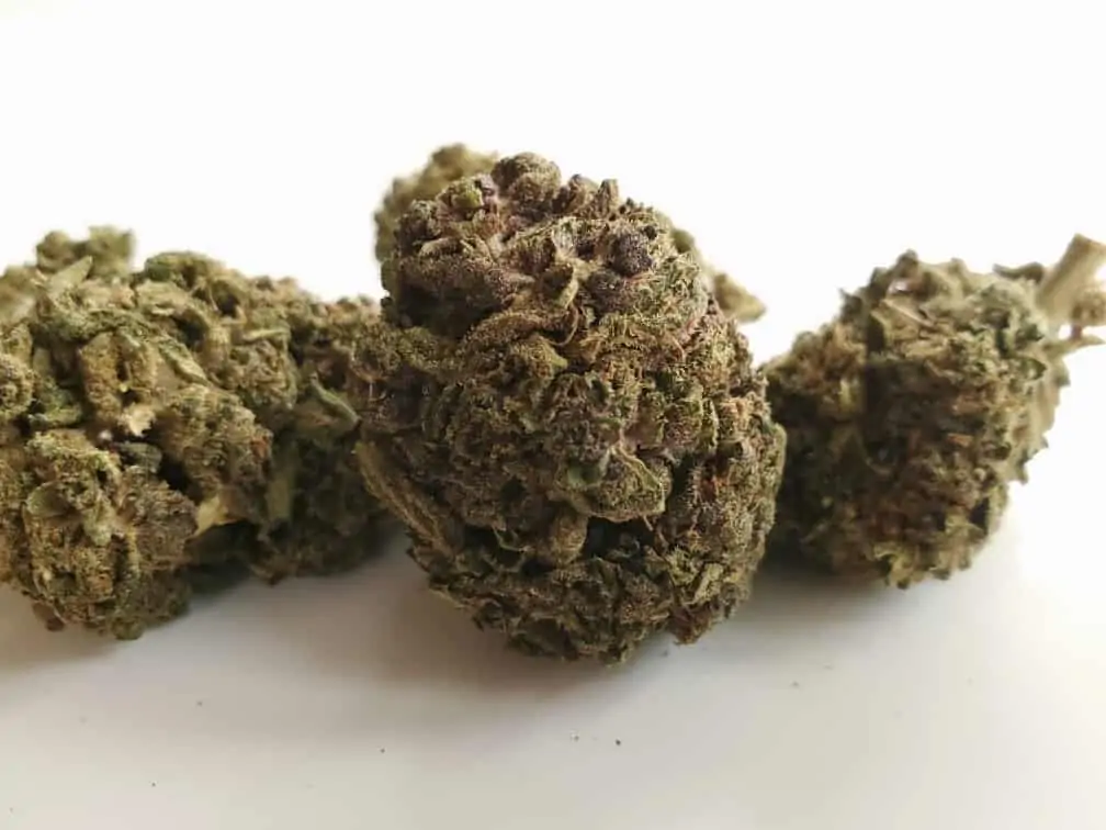 Legendary Hemp Flower Review