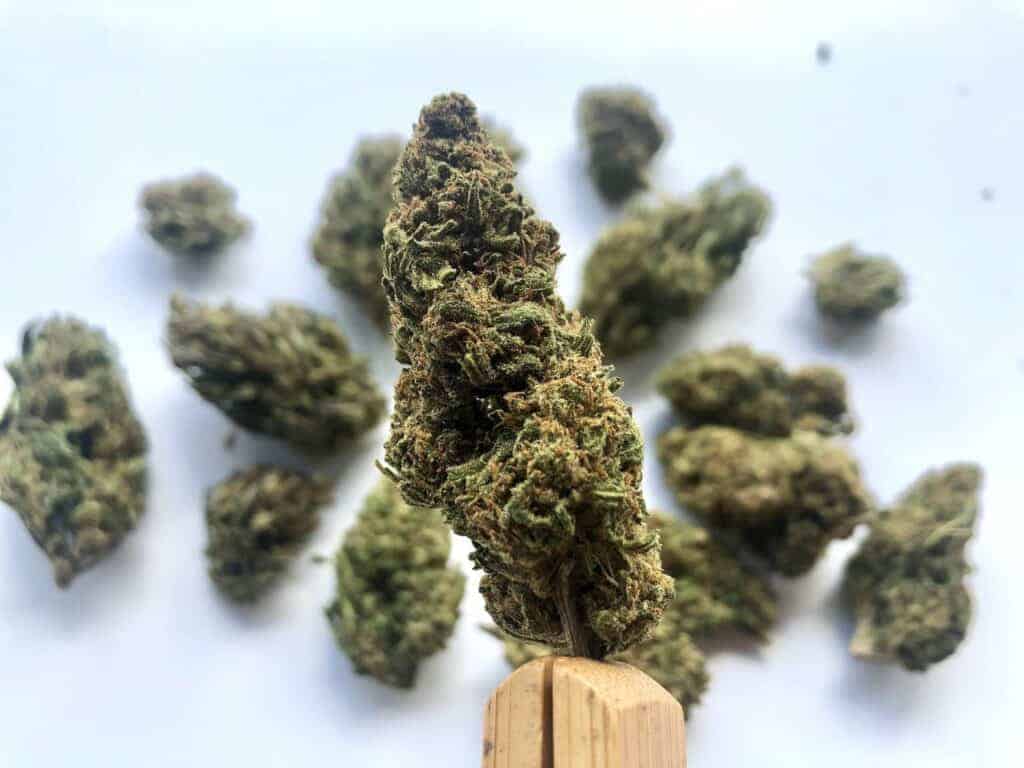 sour space candy hemp flower