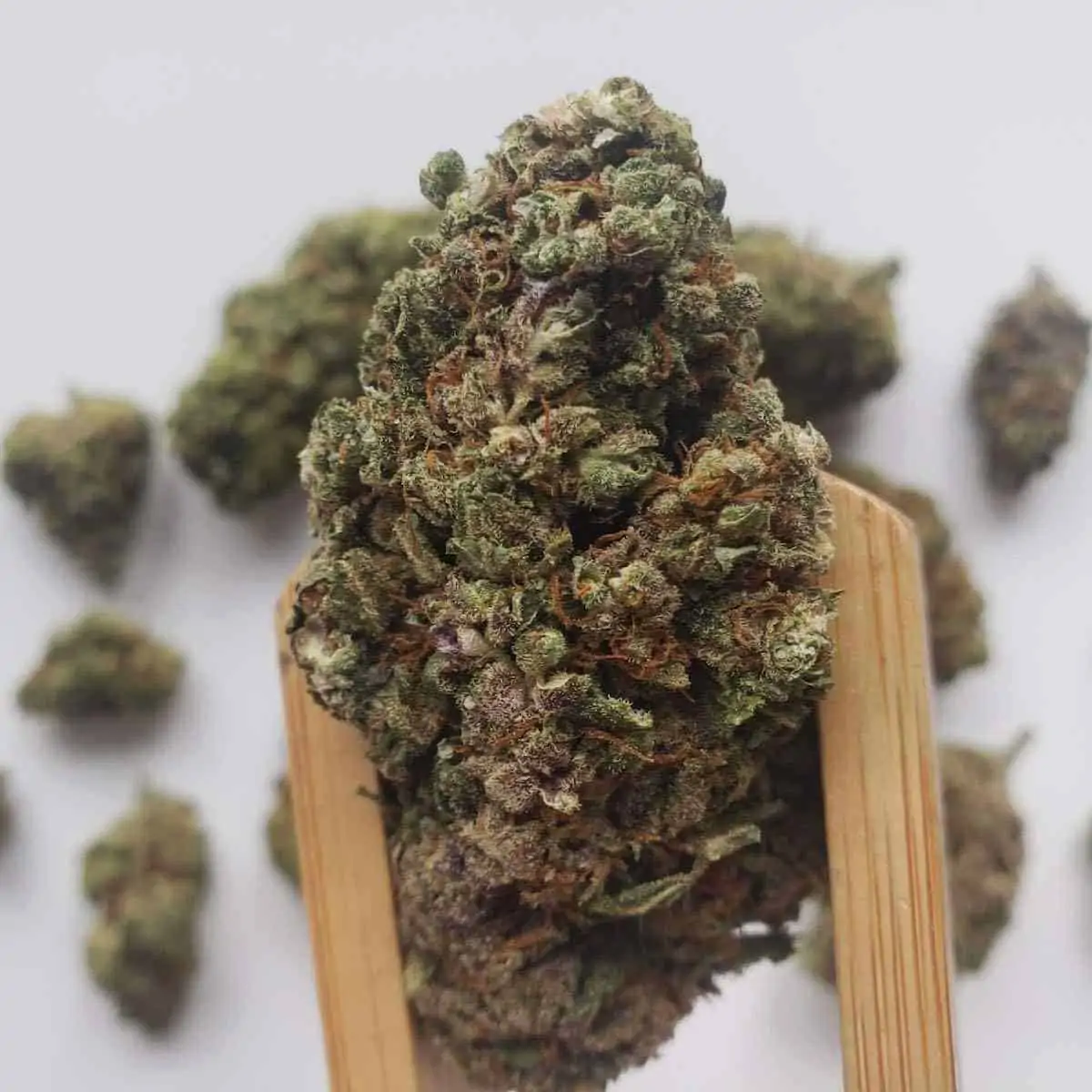 Hawaiian Haze Hemp Flower Bulk FLower, Potent Haze flower,