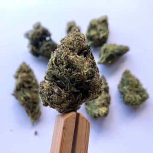 lifter hemp flower review 1