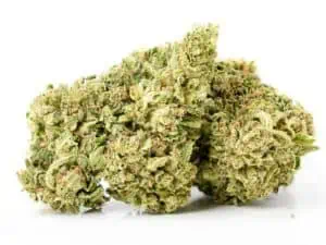 Home 21 Sour Pineapple Hand Trimmed Flower