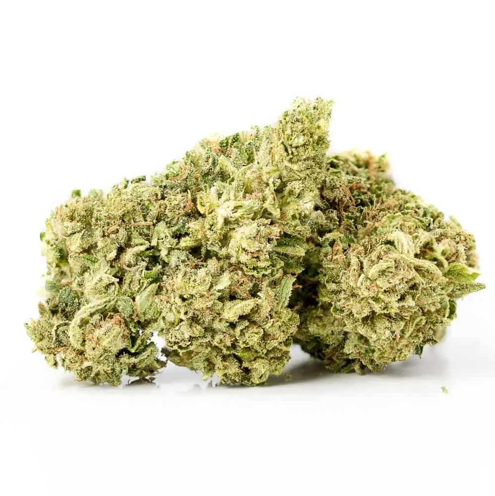 Sour Pineapple Hand Trimmed Flower