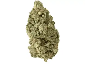 Home 18 Indoor Hemp Flower