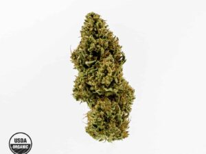 Pear Blossom Organic Flower