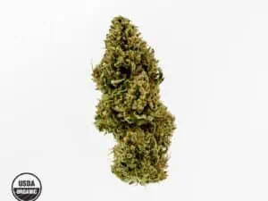 Pear Blossom Organic Flower