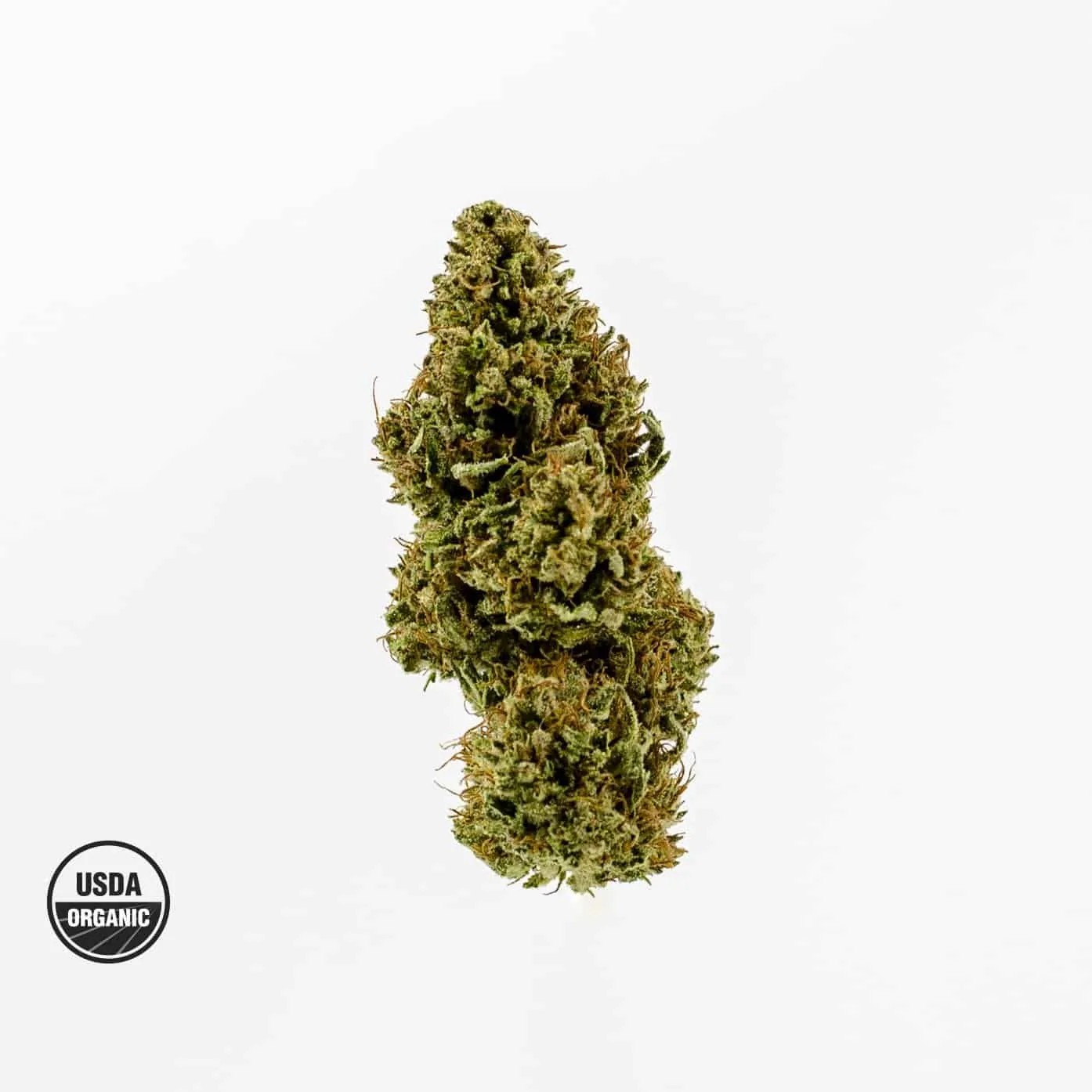 Pear Blossom Organic Flower