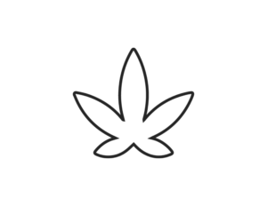 cbd scaled e1669271336666