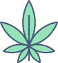 The Hemp Collect Icon 2